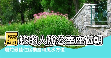 屬蛇方位|屬蛇最佳住房樓層和風水方位【屬蛇最佳住房樓層和風。